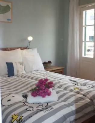 Old Town Penthouse - Barreirinha Apartment Funchal  Bagian luar foto